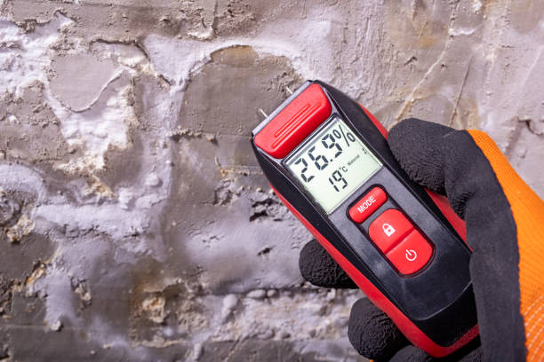 Mold Removal Process in Lake Hiawatha, NJ