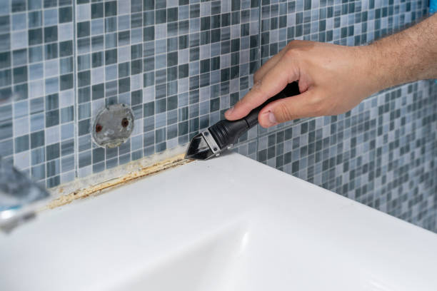 Best Residential Mold Removal  in Lake Hiawatha, NJ